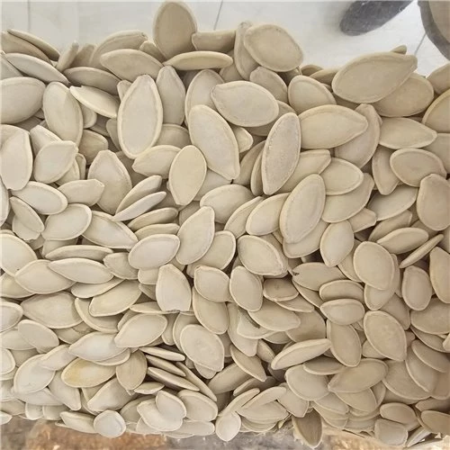 Kabak Çekirdeği 500Gr ürün görseli 1
