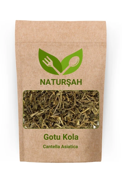 Naturşah Gotu Kola 100 Gr ürün görseli 1