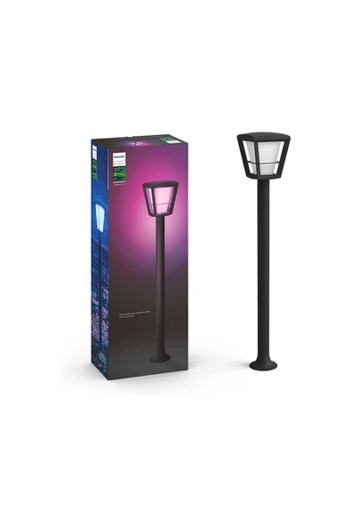 Philips   Hue WCA Econic Dış Mekan Direk Lamba 1x15W ürün görseli 1