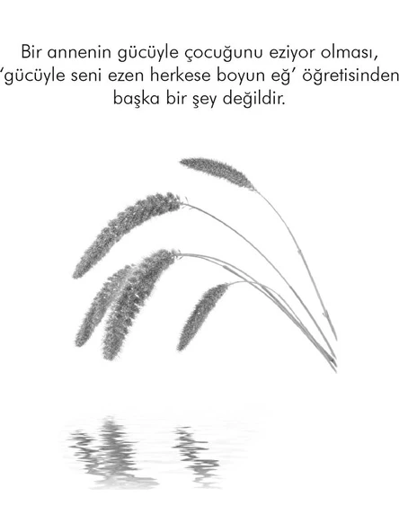 Bağırmayan Anneler - Hatice Kübra Tongar - Resim 2