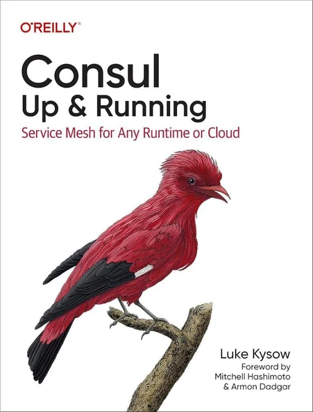 Consul: Up and Running: Service Mesh for Any Runtime or Cloud Luke Kysow ürün görseli 1