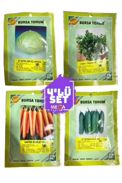 Bursa Tohumculuk    4'LÜ BURSA TOHUM SETİ ( BEYAZ LAHANA-İRİ MAYDANOZ-NANTES İRİ HAVUÇ-BURSAALPA HIYAR ) 10 GR PAKETLER ürün görseli 1