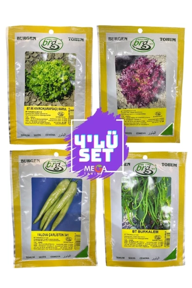 Bursa Tohumculuk    4'LÜ TOHUM SETİ ( ARAP SAÇI MARUL-KIRMIZI MARUL-YALOVA ÇARLİSTON BİBER -TATLI KIL BİBER ) 10 GR ürün görseli 1