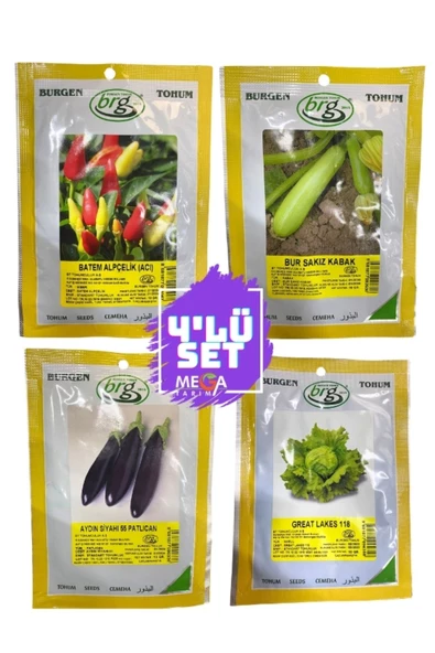 bursa tohum    4'LÜ TOHUM SETİ MEGA TARIM ( CİN BİBER- SAKIZ KABAK-UZUN PATLİCAN-TOP MARUL) 10 GR'LIK PAKET ürün görseli 1