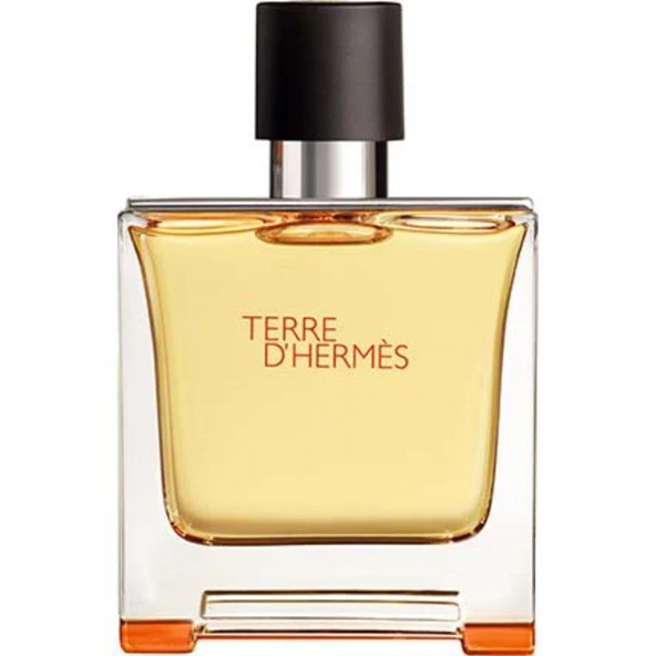 Hermes Terre D'Hermes Pure EDP 75 ml Erkek Parfüm ürün görseli 1