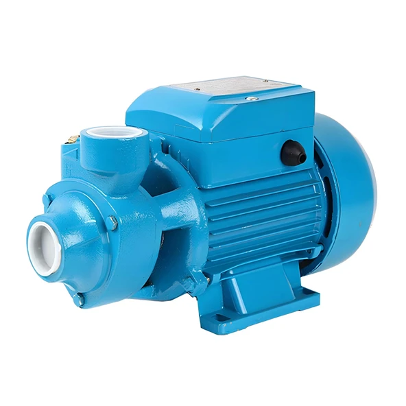 Duffmart QB80 Periferik Pompa ürün görseli 1
