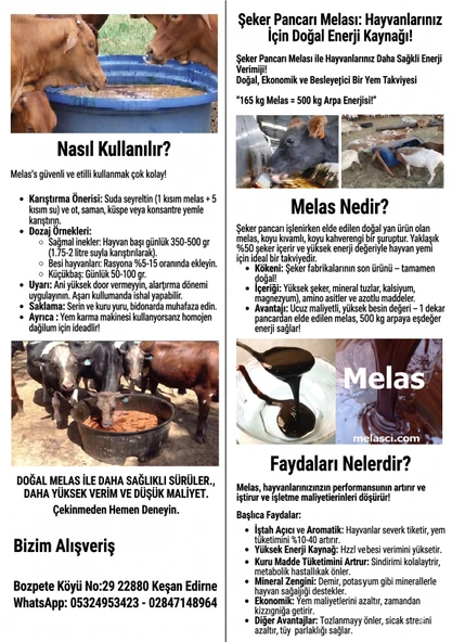 DOĞAL BİTKİ - HAYVAN BESLEYİCİ MELASI 30 Kg ( Doğal ) - Sürpriz Hediyeli ürün görseli 1