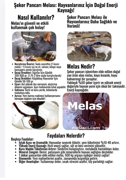 Şeker Pancarı MELAS 30 Kg ( Doğal ) + Sürpriz Hediye ürün görseli 1