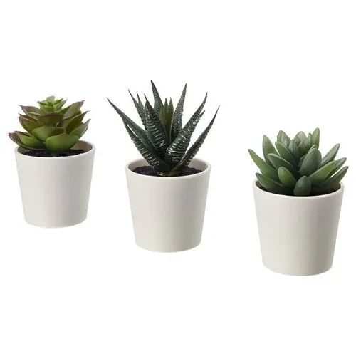 IKEA Fejka Kaktüs 3 Lü Set Yapay Bitki Çiçek Saksılı Kaktüs 6 Cm ürün görseli 1