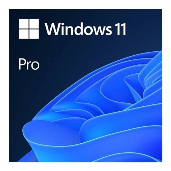 Microsoft Windows 11 Professional 64BIT Türkçe Oem FQC-10556 ürün görseli 1