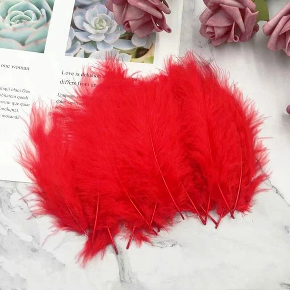 100 ADET KIRMIZI KUŞ TÜYÜ DECOR VIP RED BIRD FEATHER KIRMIZI ŞEFFAF BALON TÜYÜ KIRMIZI SÜSLEME TÜYÜ ürün görseli 1