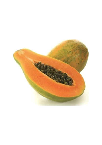 5 Adet Tohum Nadir Bulunan Tropikal Papaya Meyve Ağaç Tohumu Saksı Toprak Hediye ürün görseli 1