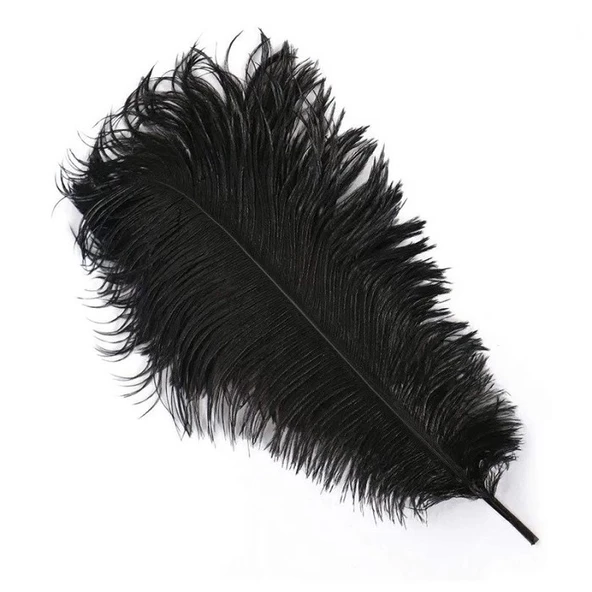 400 PCS DECOR VIP BLACK BIRD FEATHER 400 ADET SİYAH KUŞ TÜYÜ SİYAH ŞEFFAF BALON TÜYÜ SÜSLEME TÜYÜ ürün görseli 1