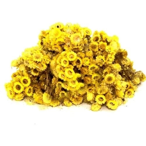 Altın Otu (Altınotu) 1 kg - Resim 2