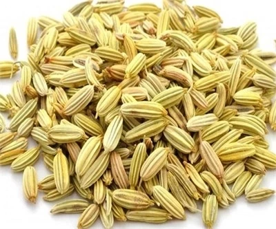 Rezene (Foeniculum vulgare) 250 gr, Derya Eren - Resim 2