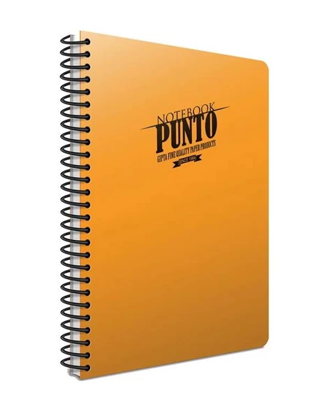 Gıpta Punto A4 100 Yaprak Spiralli Çizgili Defter ürün görseli 1