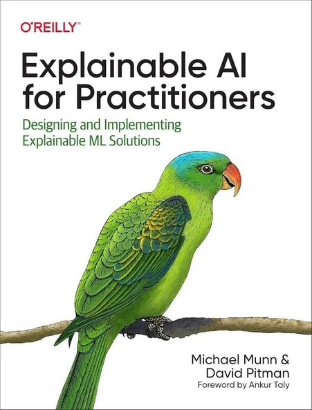 Explainable AI for Practitioners: Designing and Implementing Explainable ML Solutions Munn Pitman ürün görseli 1