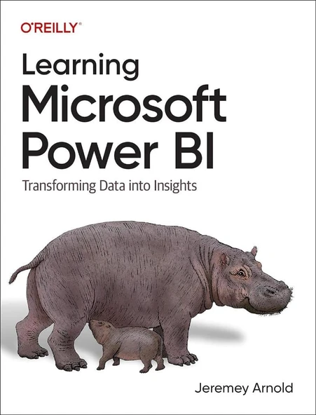 Learning Microsoft Power BI: Transforming Data into Insights Jeremey Arnold ürün görseli 1