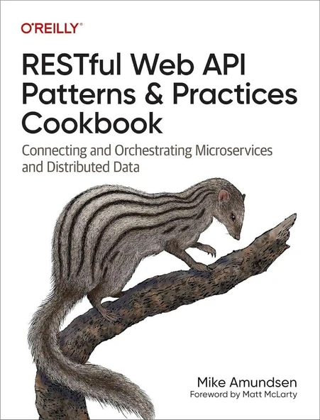 RESTful Web API Patterns and Practices Cookbook: Connecting and Orchestrating Microservices and Distributed Data Mike Amundsen ürün görseli 1