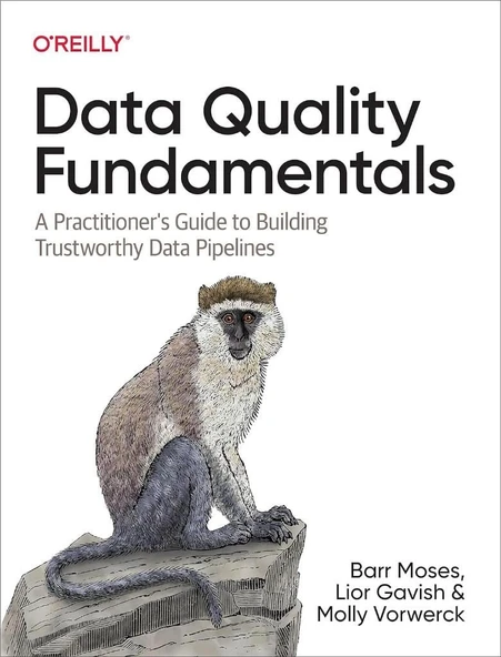 Data Quality Fundamentals: A Practitioner's Guide to Building Trustworthy Data Pipelines Moses Gavish ürün görseli 1