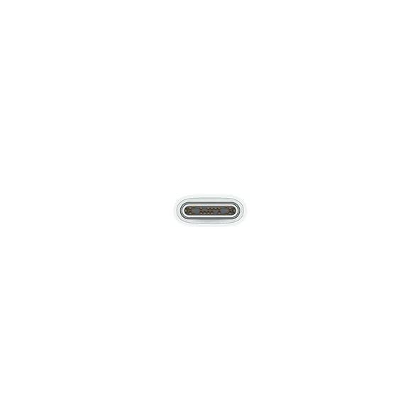 APPLE USB-C Örgü 1m Şarj Kablosu Beyaz - Resim 2