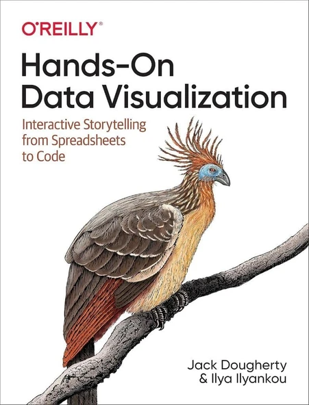 Hands-On Data Visualization: Interactive Storytelling From Spreadsheets to Code Dougherty Ilyankou ürün görseli 1