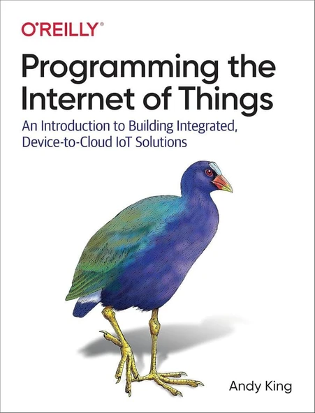 Programming the Internet of Things: An Introduction to Building Integrated, Device-to-Cloud IoT Solutions Andy King ürün görseli 1