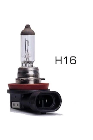 Premium 12v H16 Ampul 19w ürün görseli 1