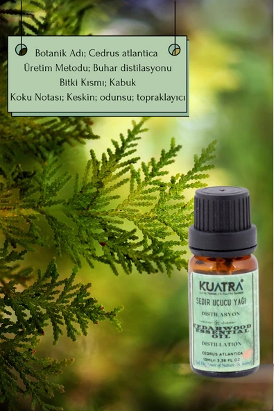 Kuatra Sedir Uçucu Yağı 10ml - Resim 9