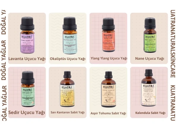 Kuatra Ökaliptüs Uçucu Yağı 10ml - Resim 6
