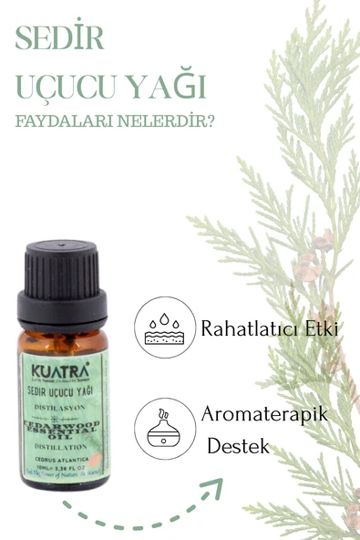 Kuatra Sedir Uçucu Yağı 10ml - Resim 4