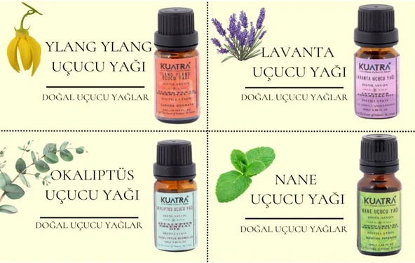 Kuatra Nane Uçucu Yağı 10ml - Resim 7