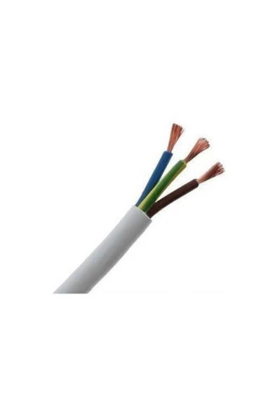 CCA Deparsistem Çok Telli Ttr Kablo 3 X 2,5 Mm 50 Metre ürün görseli 1