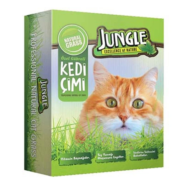 Jungle Fileli Kutu Kedi Çimi ürün görseli 1