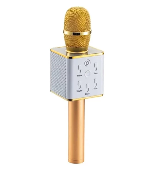 Polosmart FS22 Gold Karaoke Mikrofon + Parti Topu Gold ürün görseli 1