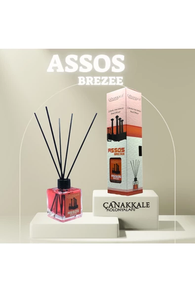 Bambu Çubuklu Oda Kokusu (ASSOS) 100 ML Cam Şişe ürün görseli 1