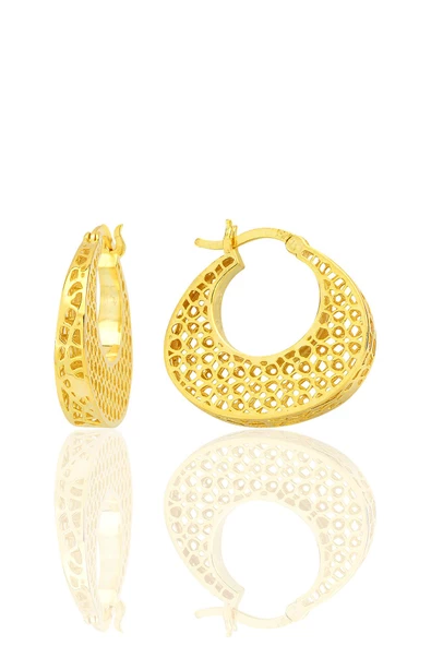 Gümüş altın yaldızlı özel işçilikli petek modeli füzyon halka küpe SGTL12540GOLD ürün görseli 1