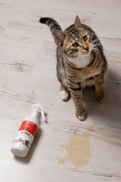 Kedi Leke Temizleyici Sprey - Resim 6