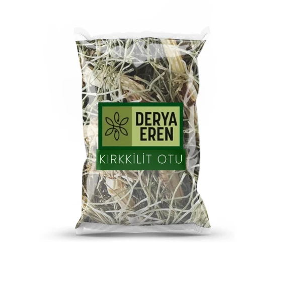 Kırkkilit Otu At Kuyruğu Bitkisi 100 gr, Derya Eren ürün görseli 1