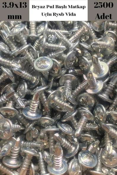 Rysb 3.9x13 mm 2500 Adet Beyaz Pul Başlı Matkap Uçlu Vida Otomatik Vida ürün görseli 1