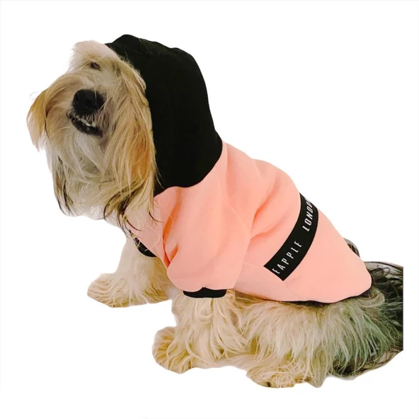 London Pineapple Kapşonlu Sweat by Kemique Köpek Kazağı ürün görseli 1