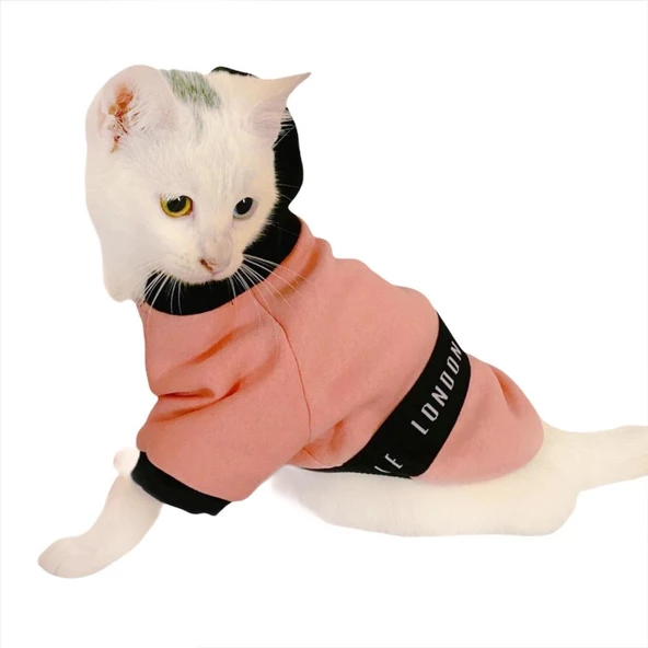 London Pineapple Kapsonlu Sweatshirt Kedi Süeteri Kedi Kıyafeti ürün görseli 1