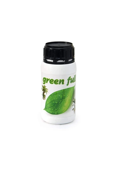 Green Full Salon Bitkisi Besini ürün görseli 1