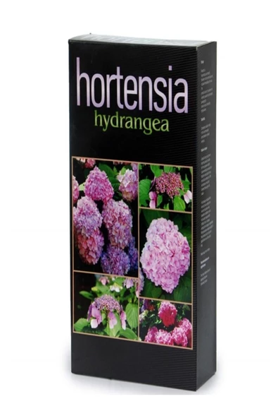 Hortensia Ortanca Besini ürün görseli 1