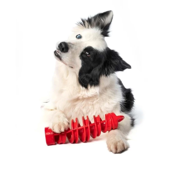 Bama Köpek Oyuncağı - Resim 3
