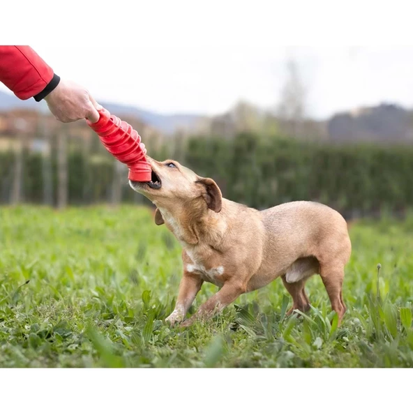 Bama Köpek Oyuncağı - Resim 2