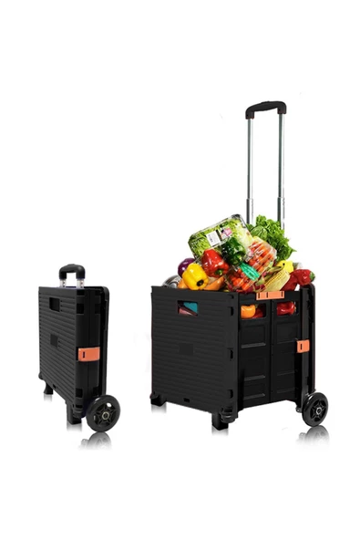 BALATLI Katlanabilir Portatif Market ve Pazar Taşıma Arabası 40 kg ürün görseli 1