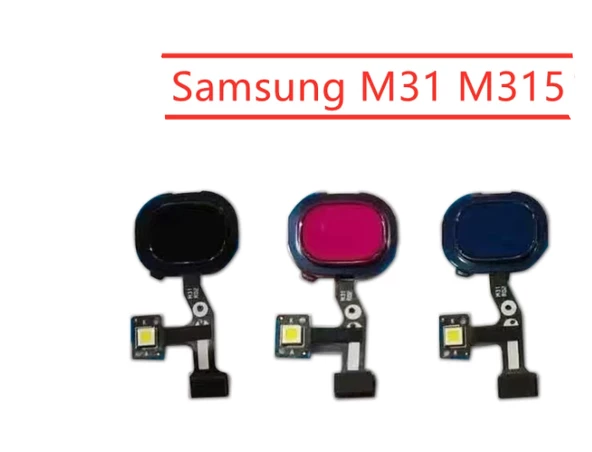 Samsung M315 M31 Home Tuşu Parmak izi Filmi Flexi Komple ürün görseli 1