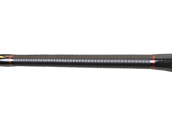1741 CX-Flex 2 Parça Spin Kamışı 240cm 15-45gr Action - Resim 3