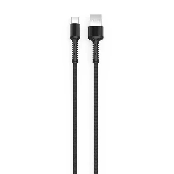 LS65 Type-C Usb Kablo - Resim 2